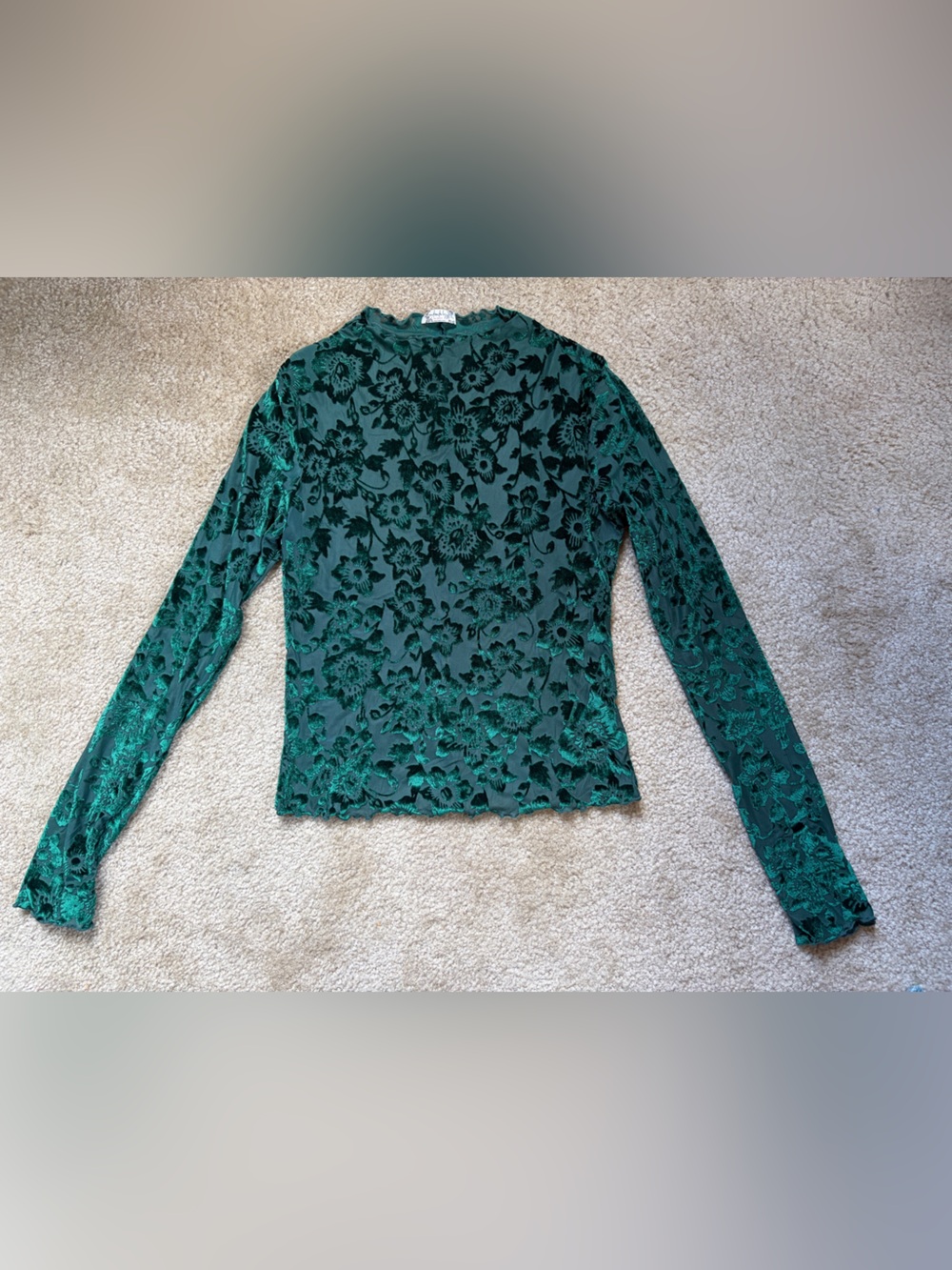 Free People Green Floral Sheer Velvet Long-Sleeve Top